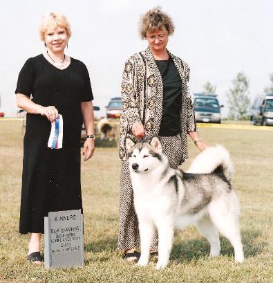 CH Storm Kloud's WWF At Awanuna