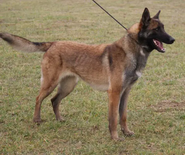 Eclipse du Chemin de l'Espérance