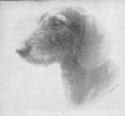 Milo von Königshufen