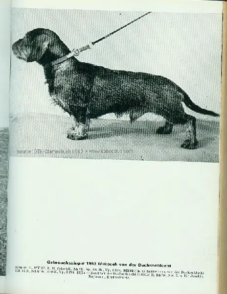 GS'63 Mikosch von der Dachsschlucht