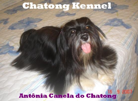 Antonia Canela Do Chatong