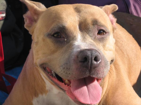 Flamewoods Kentucky Belle