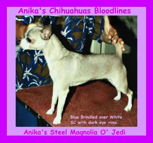 Anika'S Steel Magnolia O' Jedi