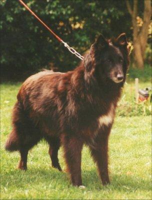 R.E. Feten De Condivicnum