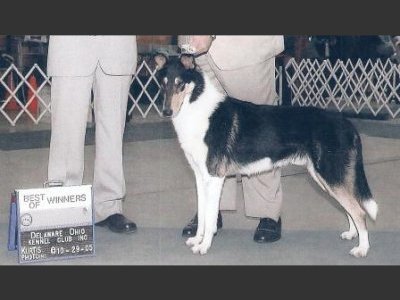 N/E Chavanda Night Star Zeus