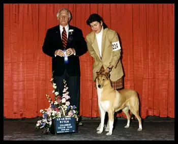 Revelation Pure Country Gold