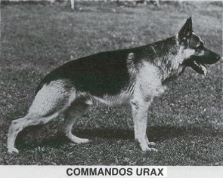 S. FIN. N UCH KORAD Commandos Urax