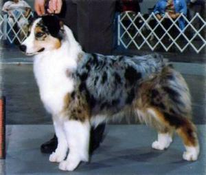 Bayshore's Caught on Camera