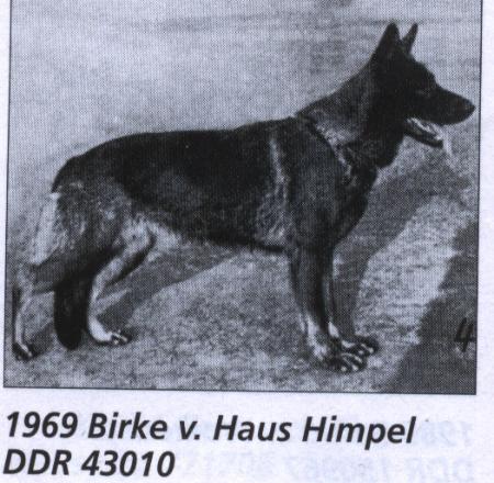 DDR SGRN 1969, V Birke vom Haus Himpel
