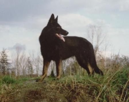 Peer vv.d. Hornhütte