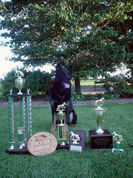 Valcko von der Daelenberghutte