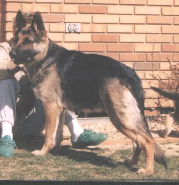 Kona Von Torien