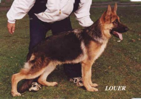 V Lesca vom Fiemereck