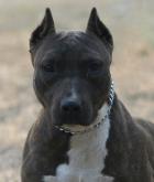 Perdue's Once Upon A Fantasy