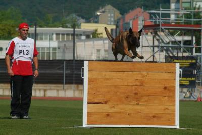 Inge Z Huckelovy Vily, Cmku/Bom 1572