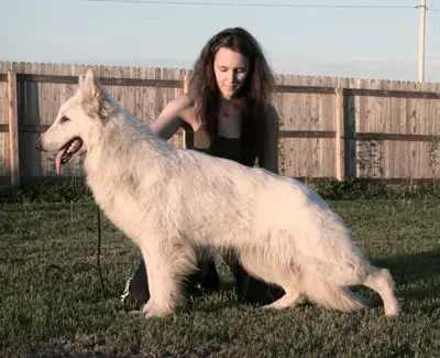 Whitestones Lil Piece Of Candy