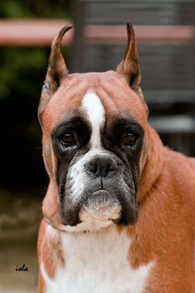 Armenia del Colle dell'Infinito