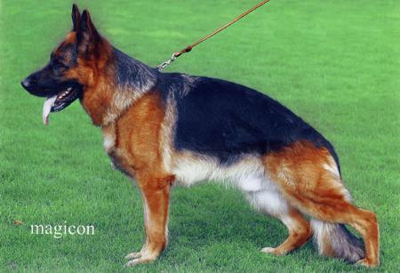 V29 Peik vom Trompetersprung