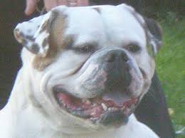 MBK's Moe Joe of Kennedy's