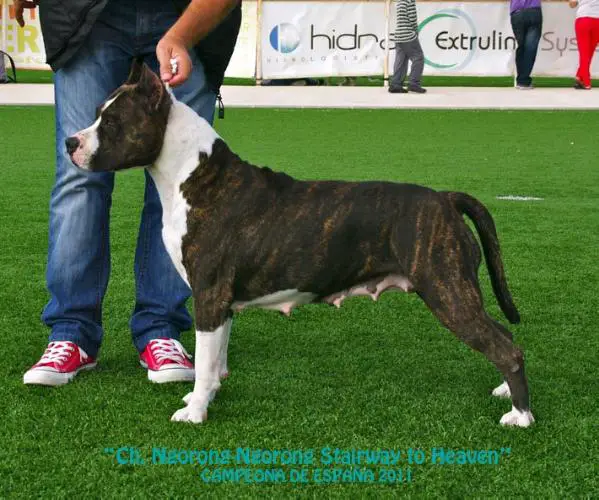 Ngorong-Ngorong Stairway to Heaven