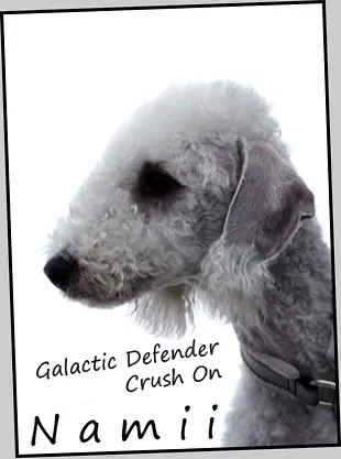 Galactic Defender Crush On