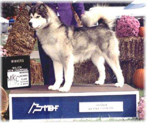 CH. Totem's This Magic Moment