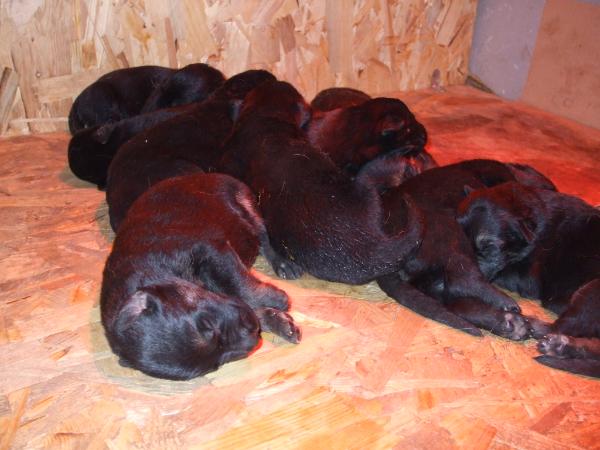 Ajka - Kristályvölgyi Etna