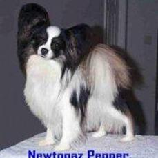 Newtopaz Pepper (USA)