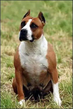 Vltava De la sauvegarde