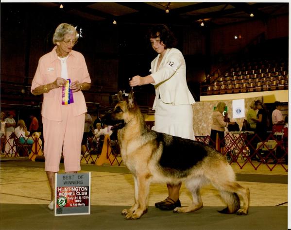 CH (AKC) Nocturne's Beverly