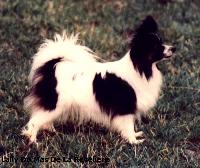 Lally du Mas de la Reveliere