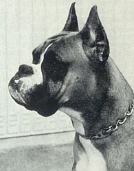 Alpha v.Baartal