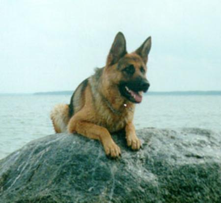 EST CH Estrellest Xlamme