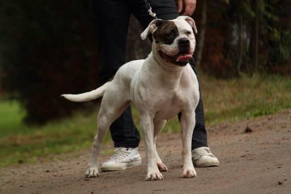 Verantino's Bonnie Parker