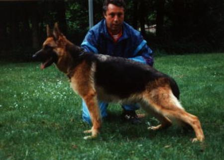 V Assi von der Biberau
