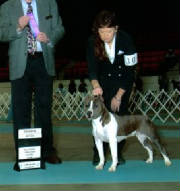 CH Cirkle C's Special Edition