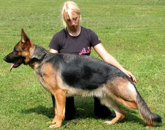 VA1 2009 SLO Enna Kuharjeva