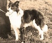 Craig ISDS 188525 / ABC 142668