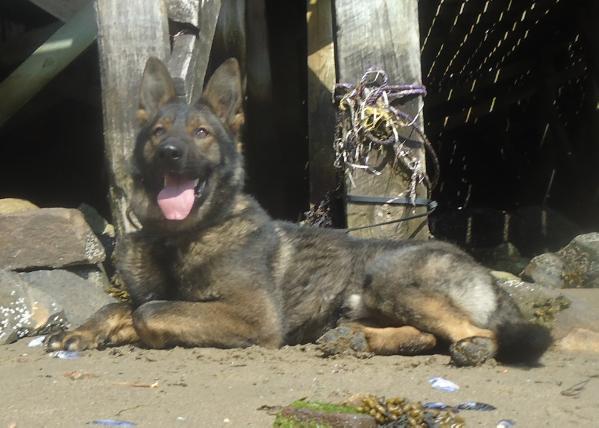 Atlas Von Serious Black