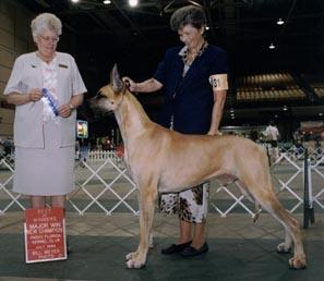 Mcm Anj Eleanor's Roosevelt