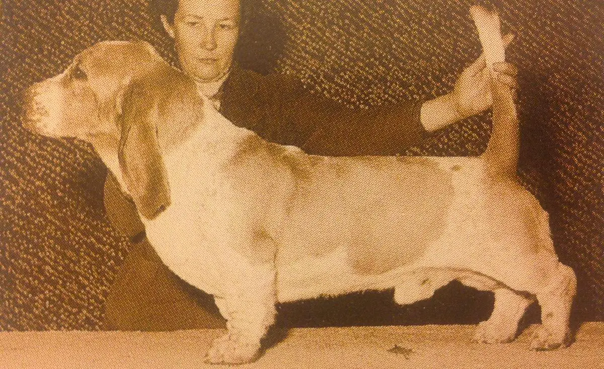 CH Lyn-Mar Acres Top Brass