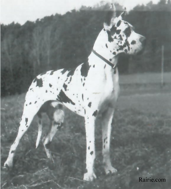 CH Bismarck Liberte'