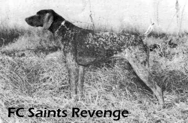 FC Saints Revenge