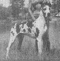 Bmw Herr Regal V Riverwood