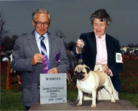 AM CH Sheffield's Champagne Wishes