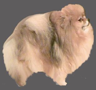 Tim Sue'S Luck Be A Lady