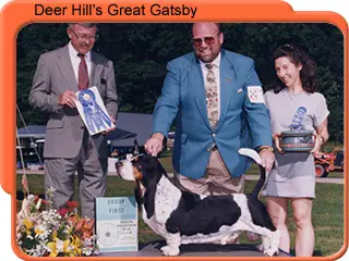 E BISS AM/CAN CH Deer Hill'S Great Gatsby
