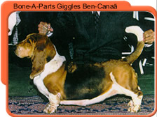 Bone-A-Parts Giggles Ben-Canaa