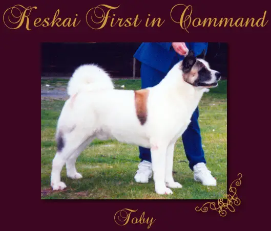 Keskai First in Command