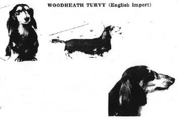 Woodheath Turvy